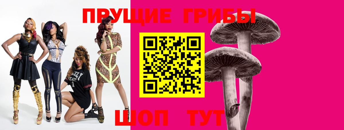 Галлюциногенные грибы Cubensis Сертолово